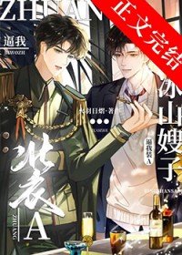 ��ɽԪ˧����װA