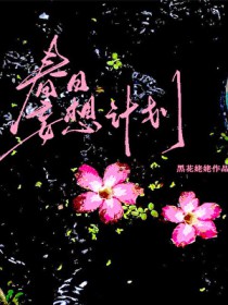 ��������ƻ�