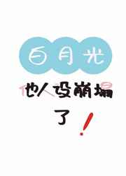 ���¹������������ ���+����