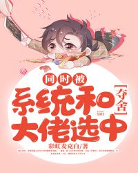 ͬʱ��ϵͳ�Ͷ������ѡ��