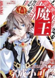 ��ħ������С����[�Ǽ�]