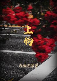 �Ϲ���α����1v1h��