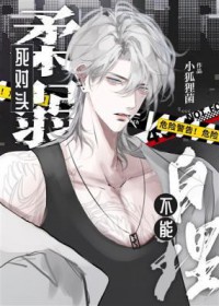 ����ͷ������������